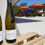 1. HOF.WEIN.FEST im Weingut Neder